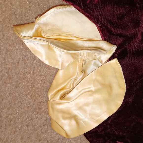 Velvet Vintage Dress - Picture 3 of 4